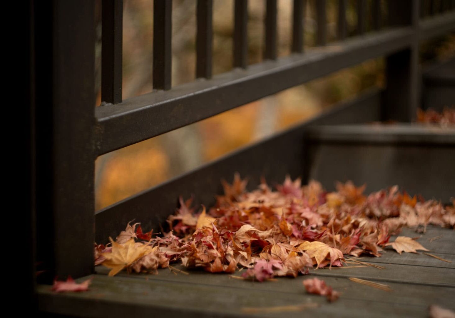 Best deck builder in Slinger, WA.