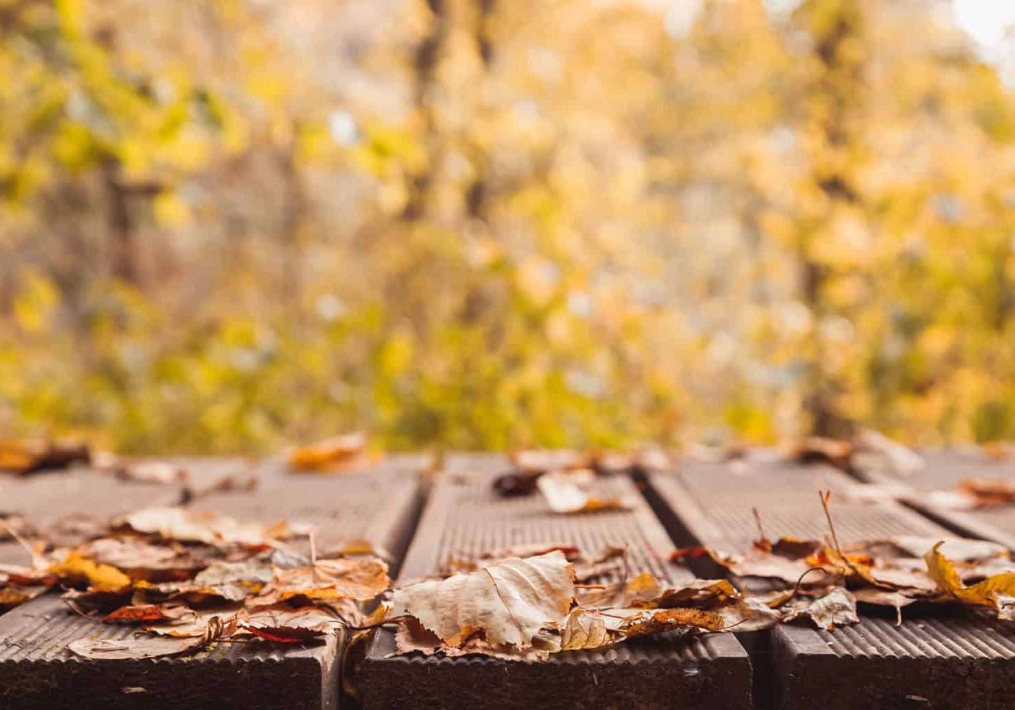 Best deck builder in Slinger, WA.